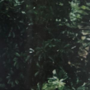 Meet your Posher, Judy